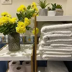 Tirana_cliche_apartment アパート ティラナ